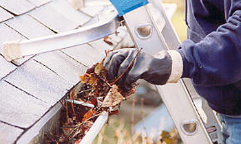 Gutter Cleaning in Tampa FL Gutter Cleaning Services in Tampa FL Cheap Gutter Cleaning in Tampa FL Cheap Gutter Services in Tampa FL Quality Gutter Cleaning in Tampa FL Gutter Cleaning in FL Tampa Gutter Cleaning Services in Tampa FL Gutter Cleaning Services in FL Tampa Gutter Cleaning in FL Tampa Clean the gutters in Tampa FL Clean gutters in FL Tampa Gutter cleaners in Tampa FL Gutter cleaners in FL Tampa Gutter cleaner in Tampa FL Gutter cleaner in FL Tampa Affordable Gutter Cleaning in Tampa FL Cheap Gutter Cleaning in Tampa FL Affordable Gutter Services in Tampa FL